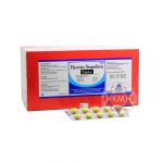 Flavettes Neurofort Tablets - 50 x 10